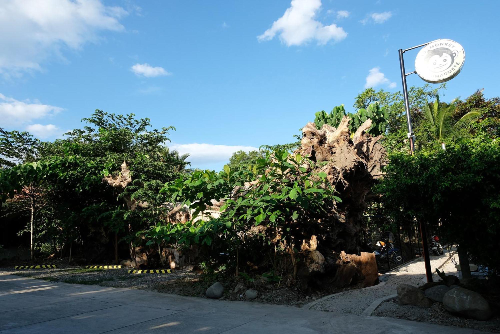 Mad Monkey Dumaguete Hostel Dumaguete City
